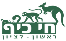 חי כיף לנד